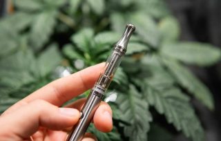 An Exhaustive Guide to Investigating the Vapes by Delta 8